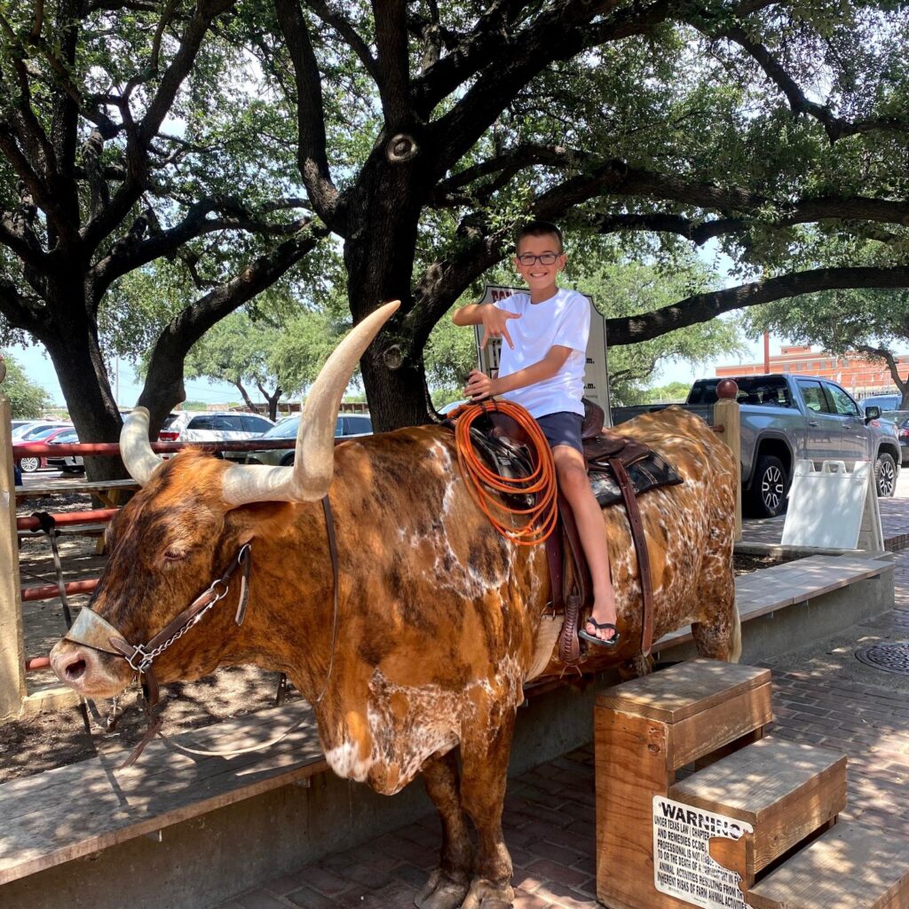 This is the longhorn Patron in the Fort Worth Stockyards, I have been trying to convince the owner for a long time now to let me buy him and put him on a ranch to live out his best days. 