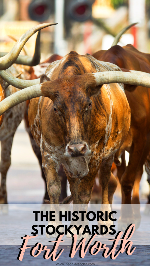 Things to do in the Fort Worth Stockyards