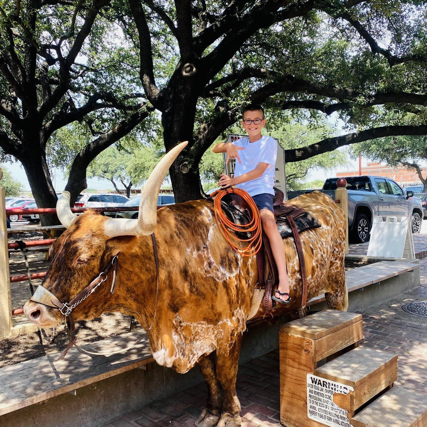 Things to do in Fort Worth Texas! 83 Fun Ideas! - Small Towns Big City