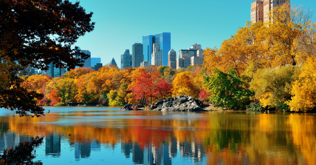 New York City is one of the best fall vacations in the United States. You can do Central Park for nature and beautiful fall foliage and then city activities  