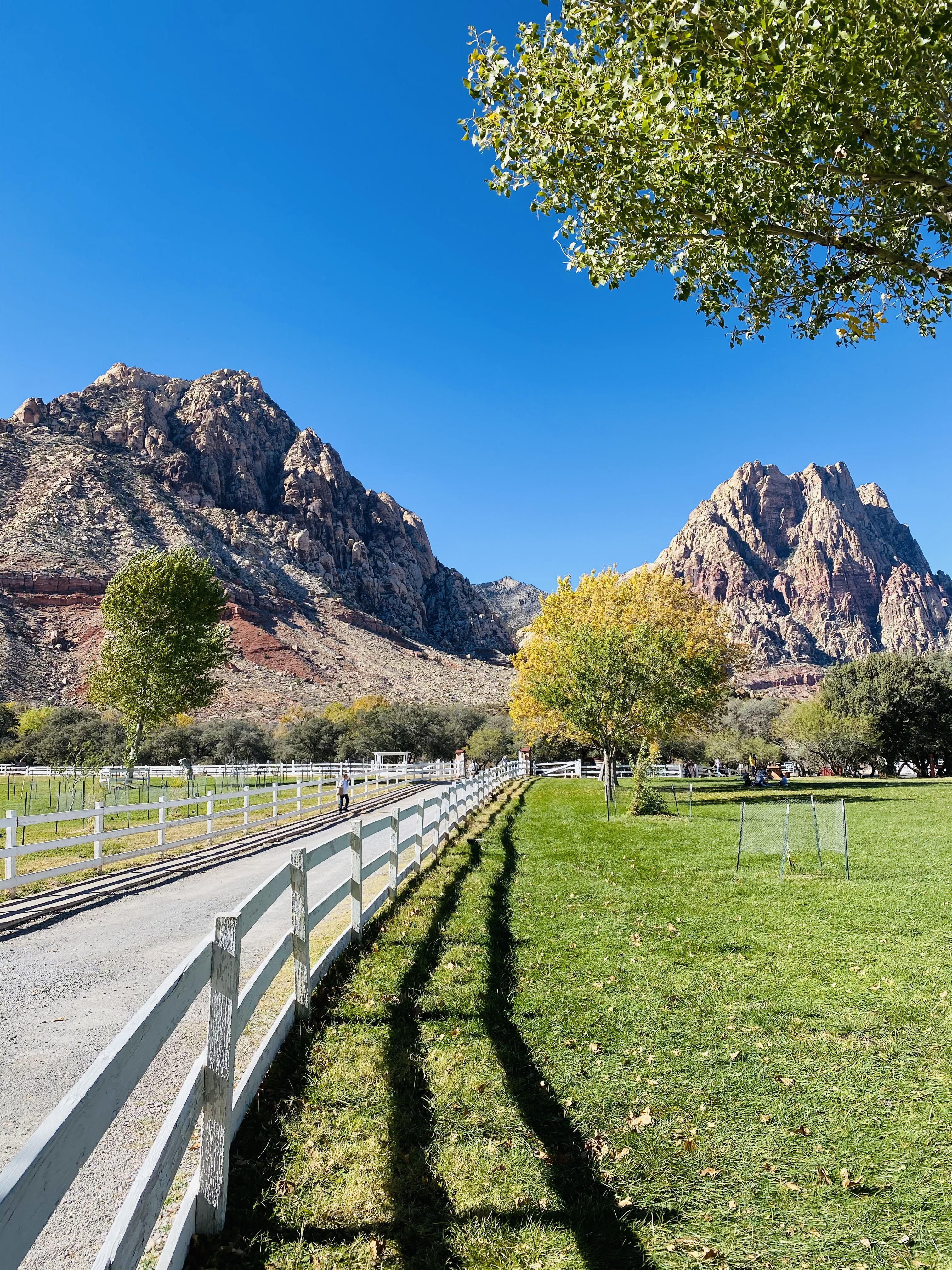Spring Mountain Ranch State Park is an awesome activity when you are traveling to Las Vegas with kids. This park you will not believe is only 30 minutes outside of the Las Vegas Strip