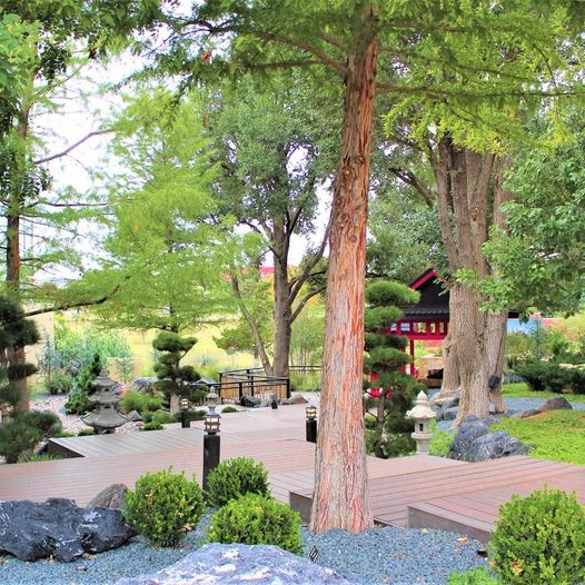Looking for outdoor things to do in Amarillo Texas? Amarillo Botanical Gardens in the perfect. peaceful place.