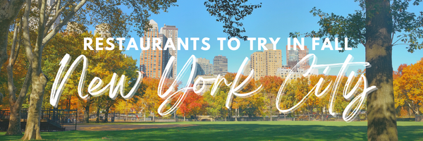 Cozy bars and restaurants to try in New York in fall.