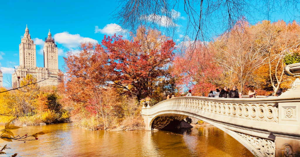 There's no place like New York City in the fall. Check out this beautiful photo of Central Park in autumn!
