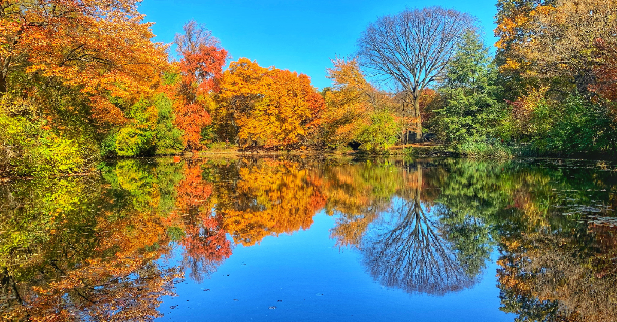 Fall in NYC: Best Fall Activities in New York City - Small Towns Big City