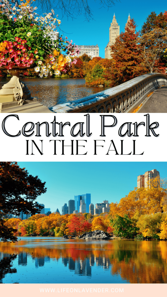 Central Park in the Fall. Pinterest Pin