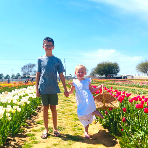 Texas Tulips in Pilot Point TX is a beautiful and unique flower field in Texas!