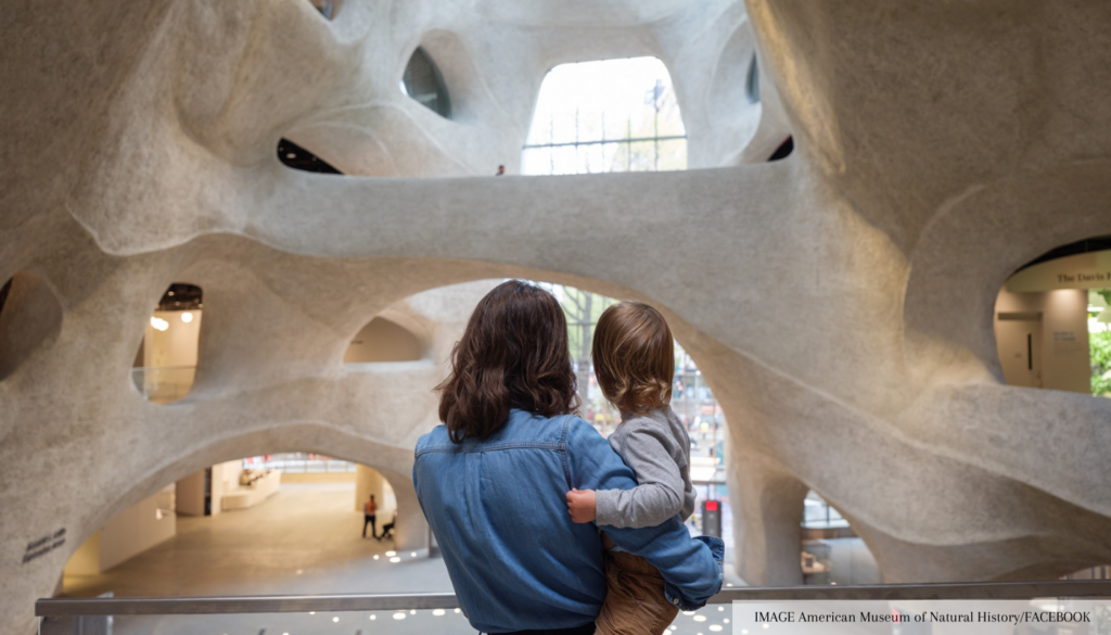 best museums for kids in NYC